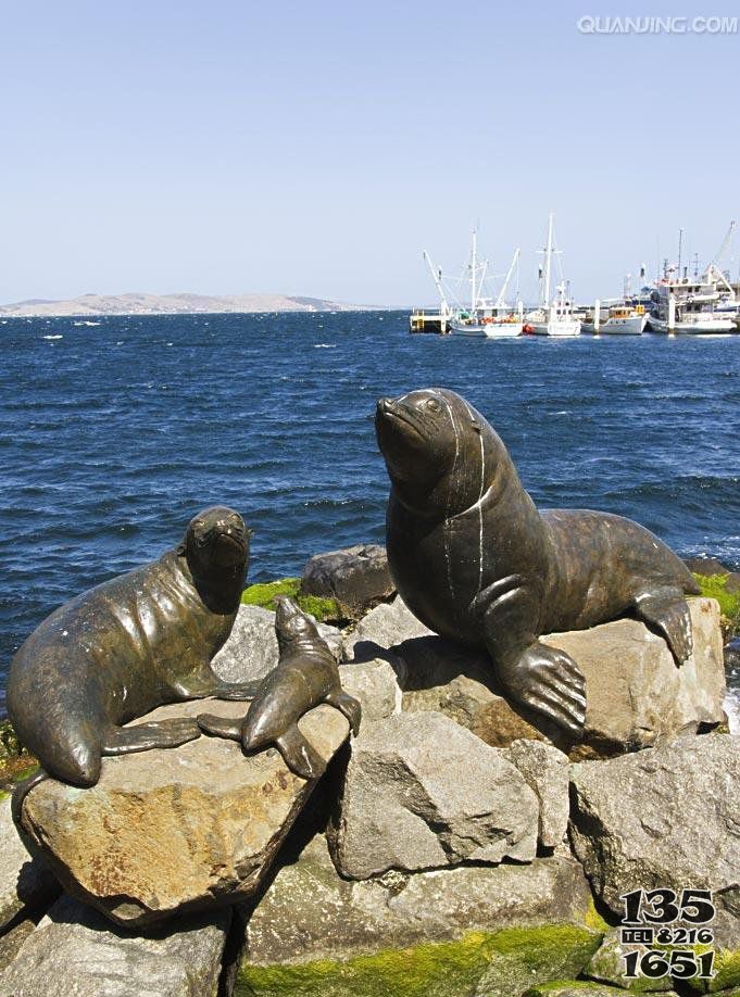 海豹公园景观动物铜雕图片